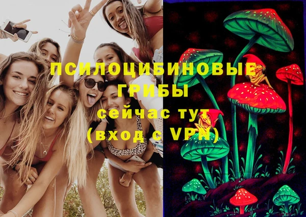 бошки Беломорск