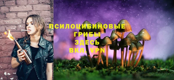 бутират Белоозёрский