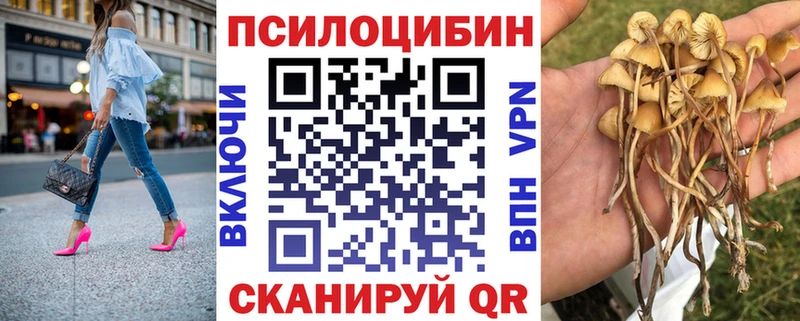 Псилоцибиновые грибы Magic Shrooms  kraken вход  Городовиковск 